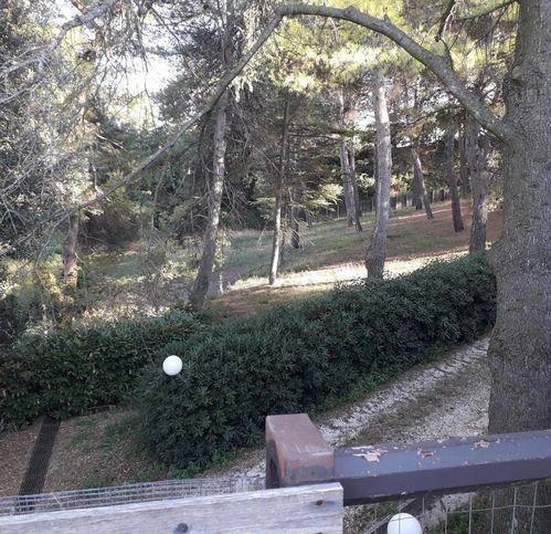 immagine annuncio 9 di 13
