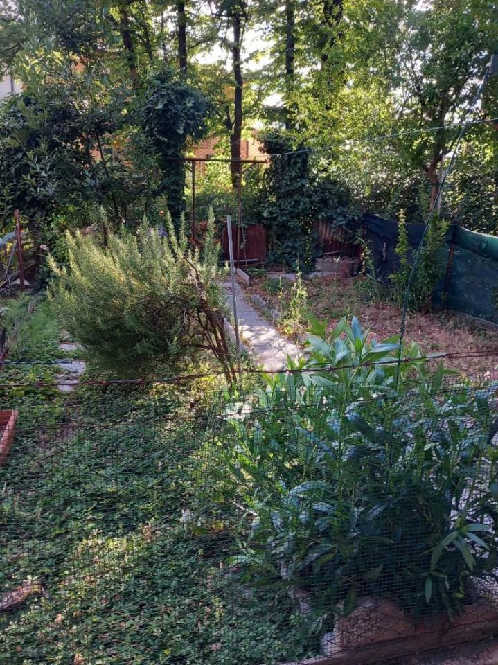immagine annuncio 8 di 12