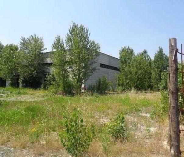 Capannone in Str. Moletolo , 98, Parma, {3} - Foto 1