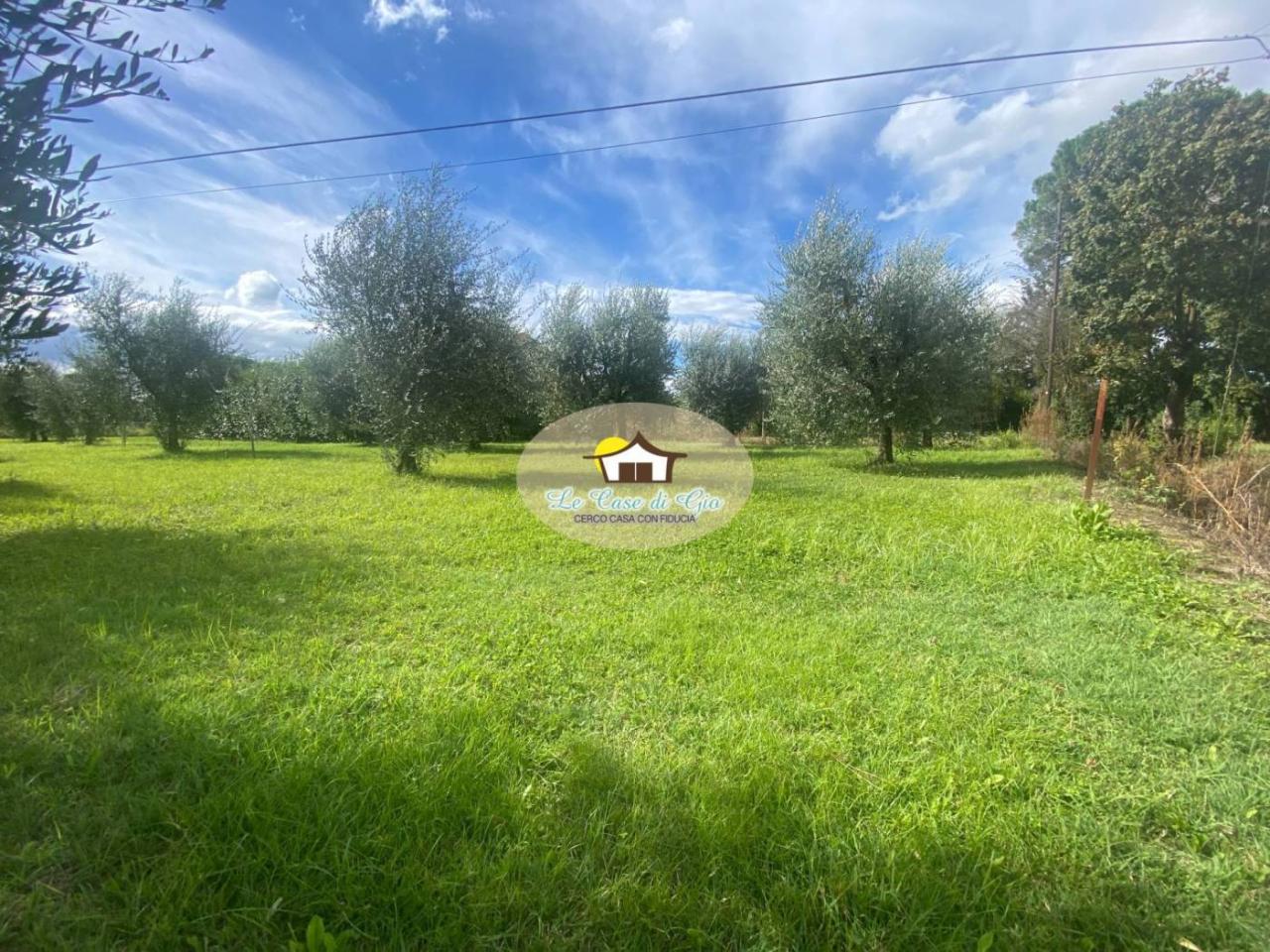 immagine annuncio 6 di 11