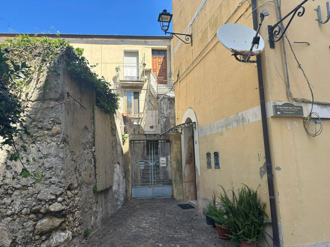 immagine annuncio 6 di 14