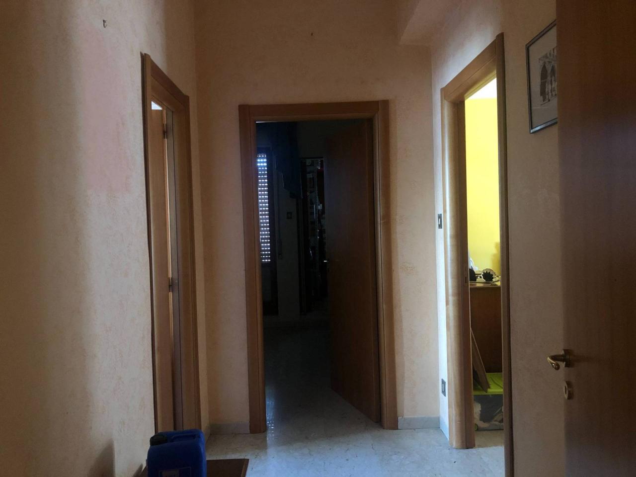 immagine annuncio 5 di 12