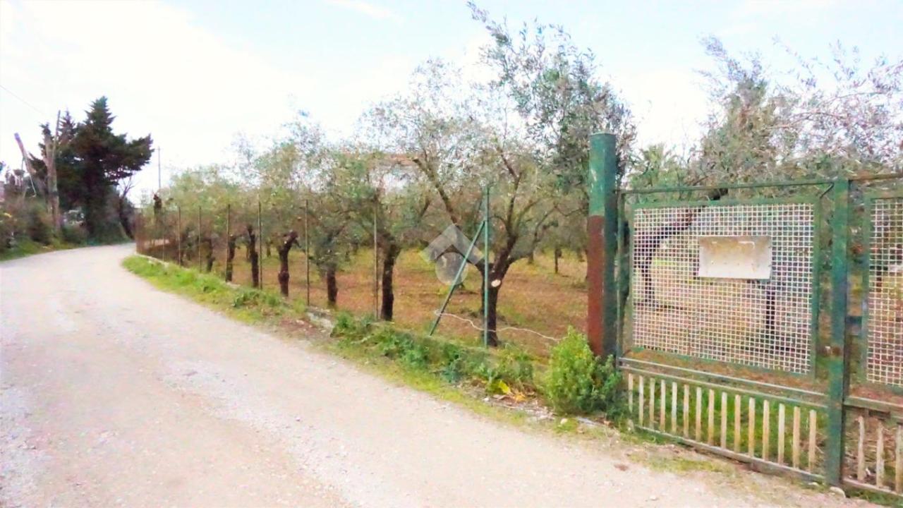 Terreno agricolo in vendita a Montecorvino Rovella