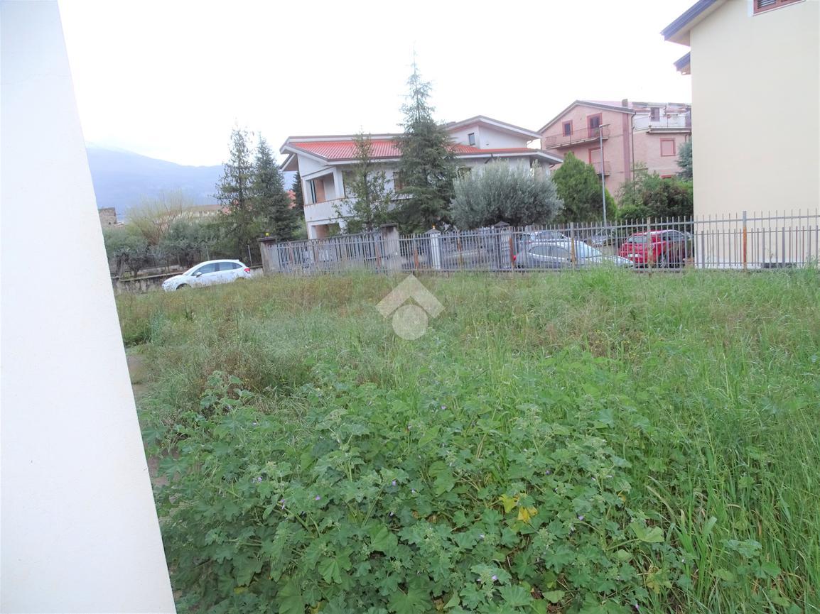 immagine annuncio 9 di 12