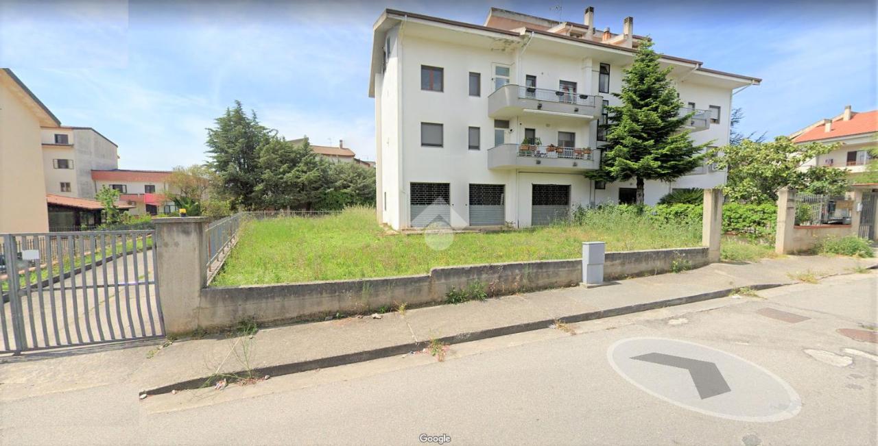 immagine annuncio 7 di 12