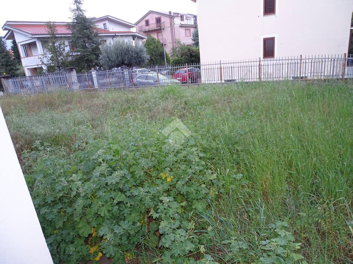 immagine annuncio 10 di 12