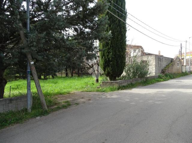 insertion image