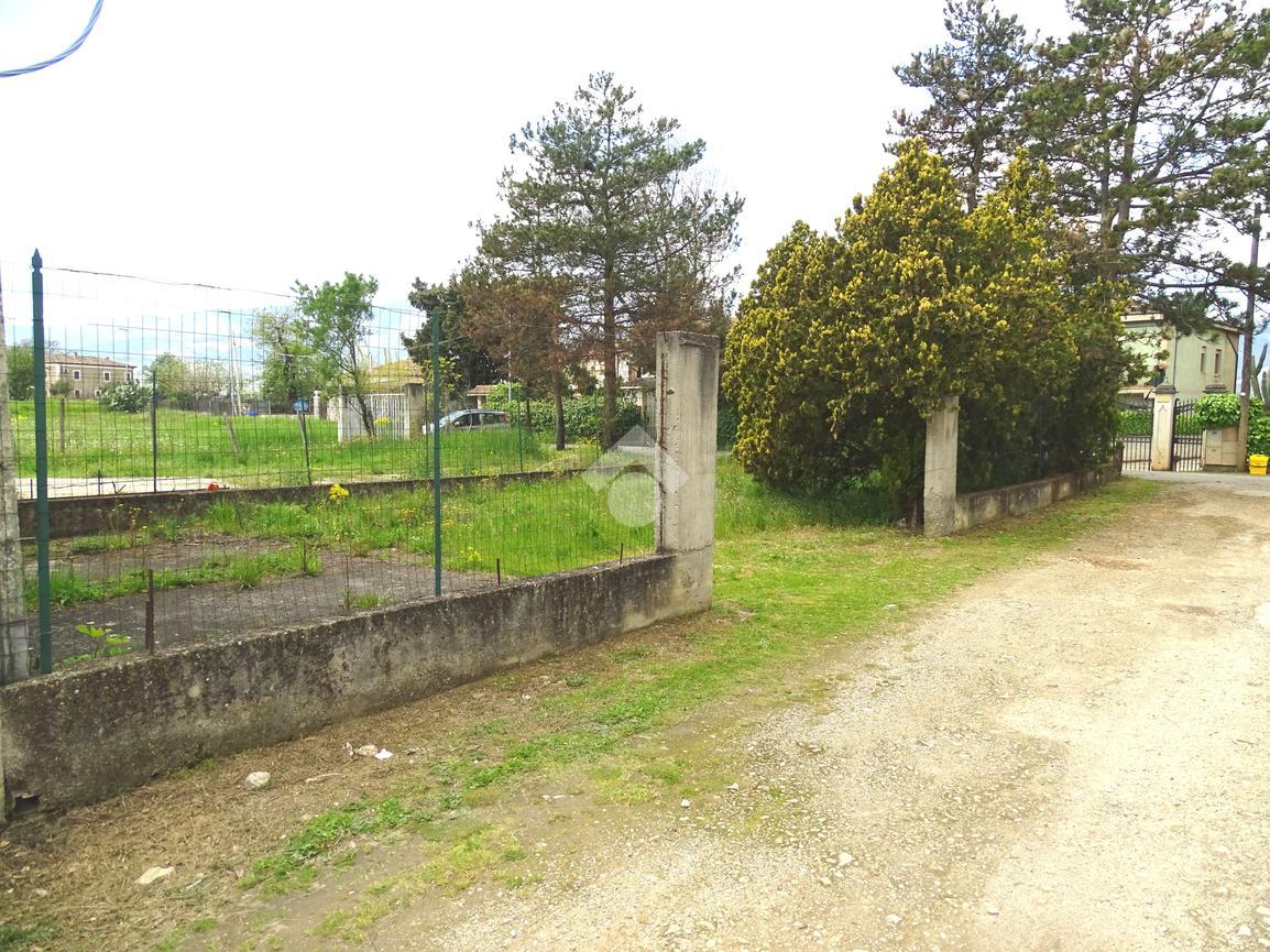 immagine annuncio 10 di 11