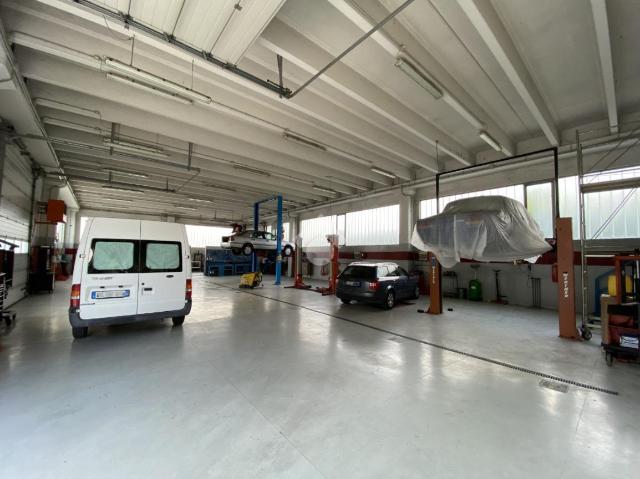 insertion image