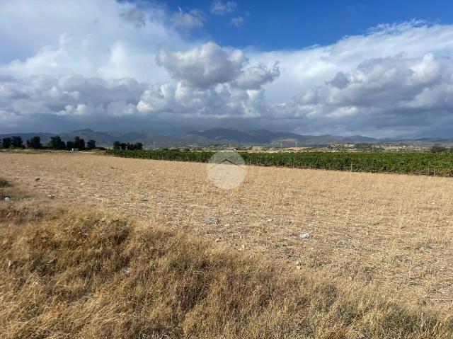 Agricultural land in 125 Orientale Sarda, Quartucciu - Photo 1