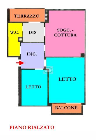 main planimetry real estate image