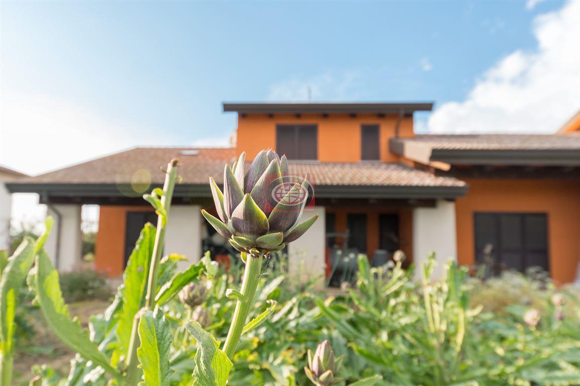immagine annuncio 1 di 4