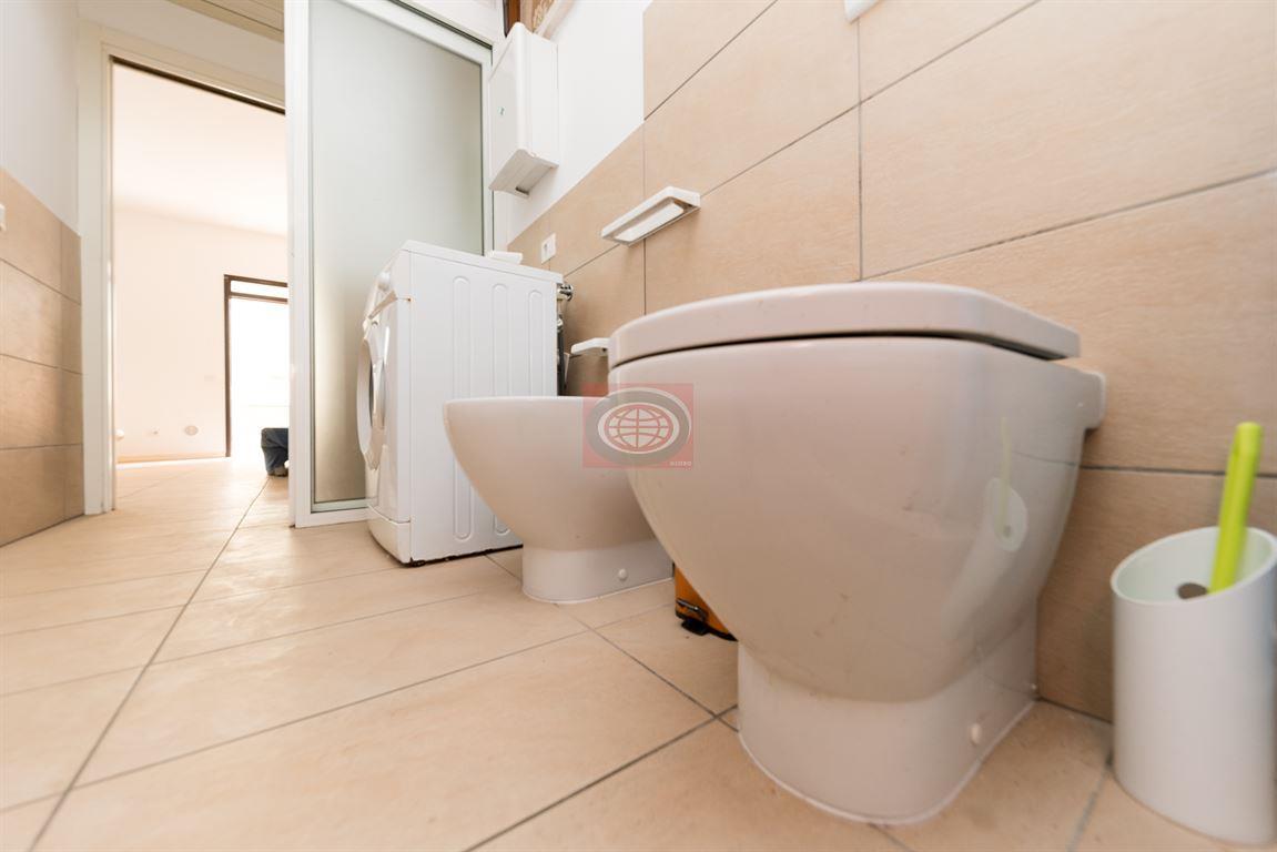 immagine annuncio 9 di 14