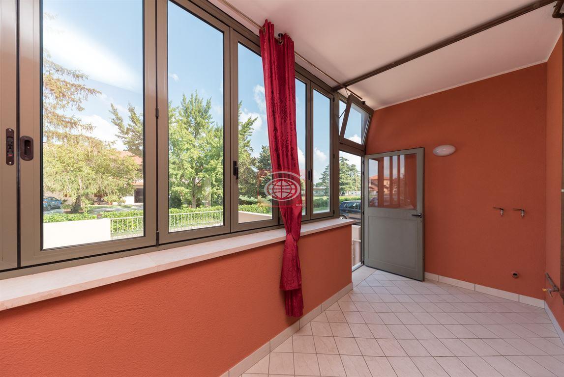 immagine annuncio 12 di 14