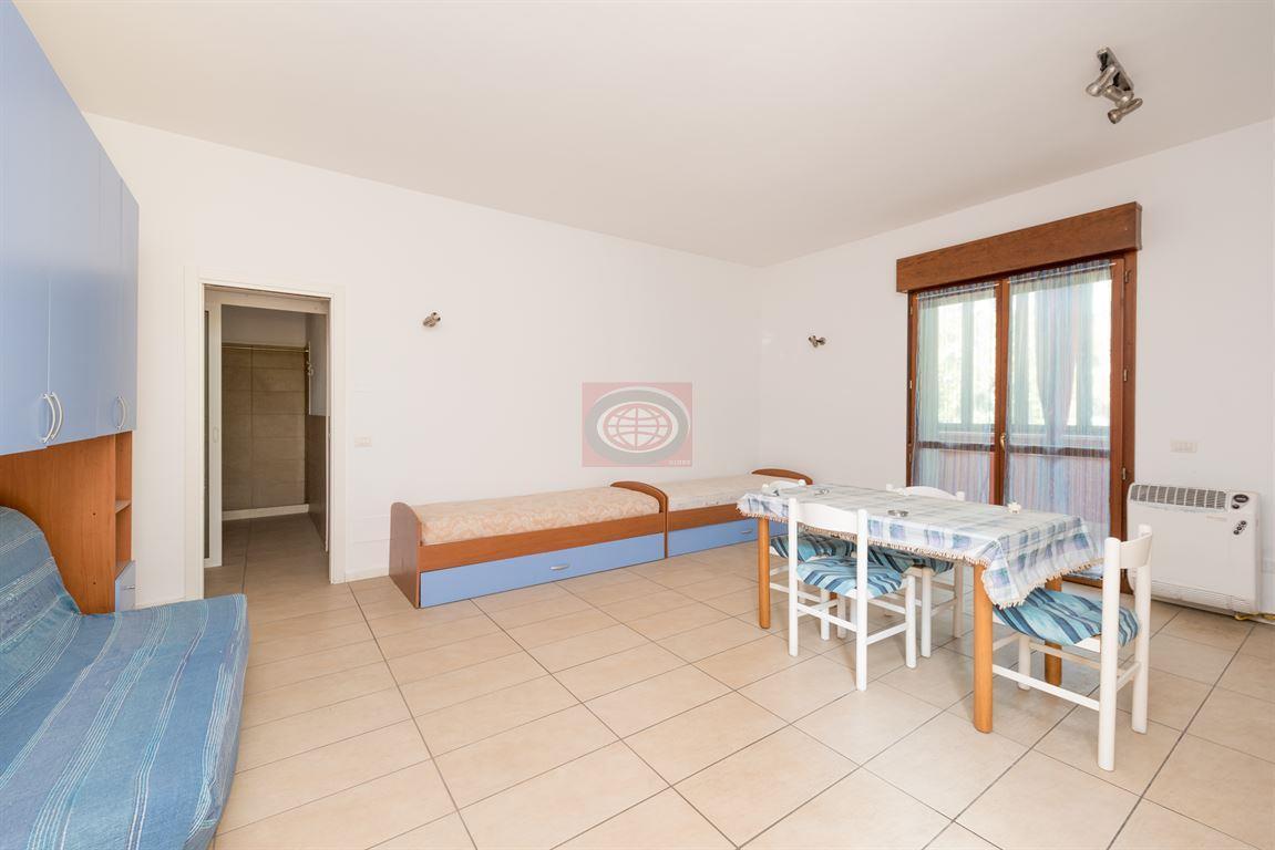 immagine annuncio 1 di 14