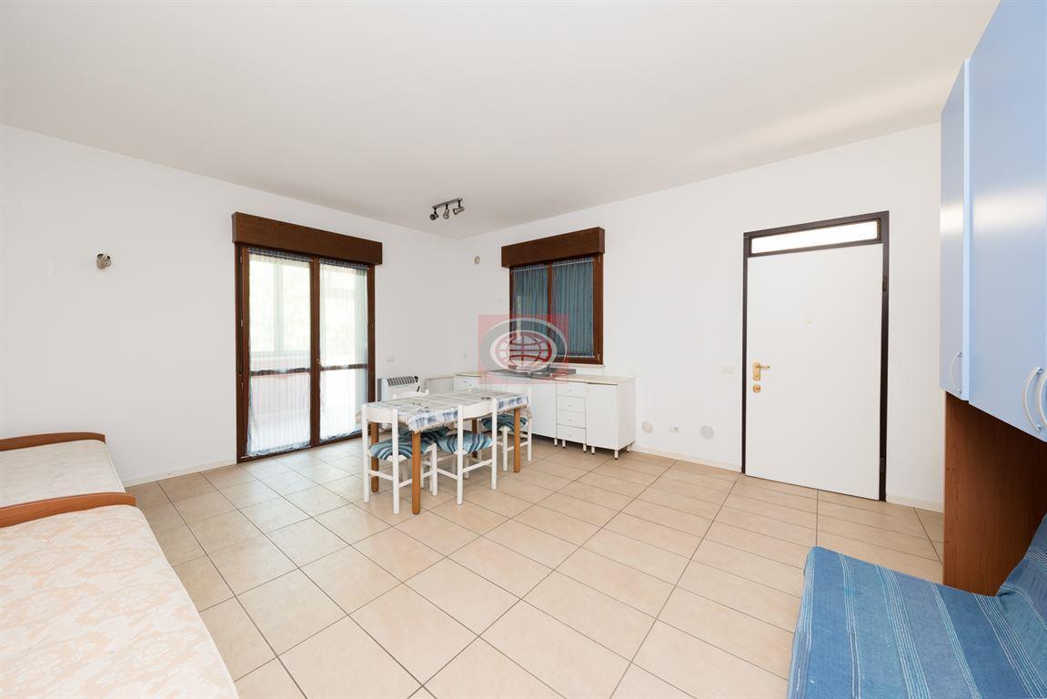 immagine annuncio 0 di 14