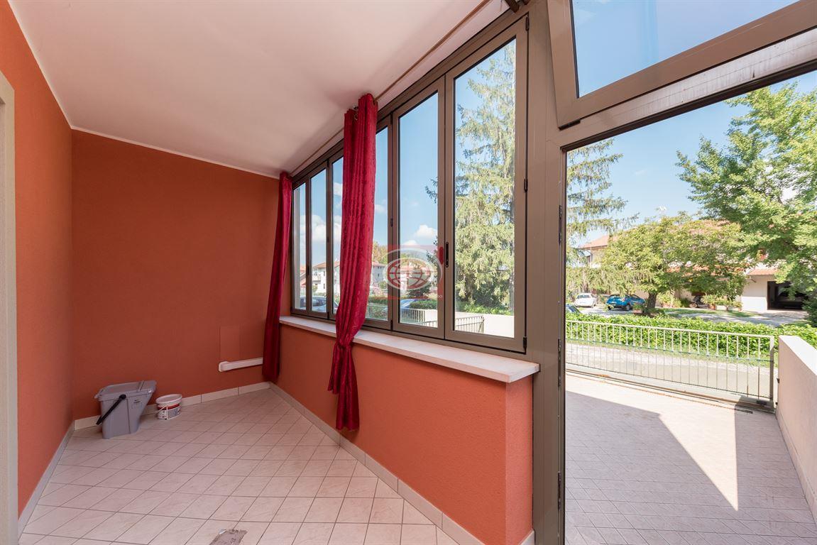 immagine annuncio 11 di 14