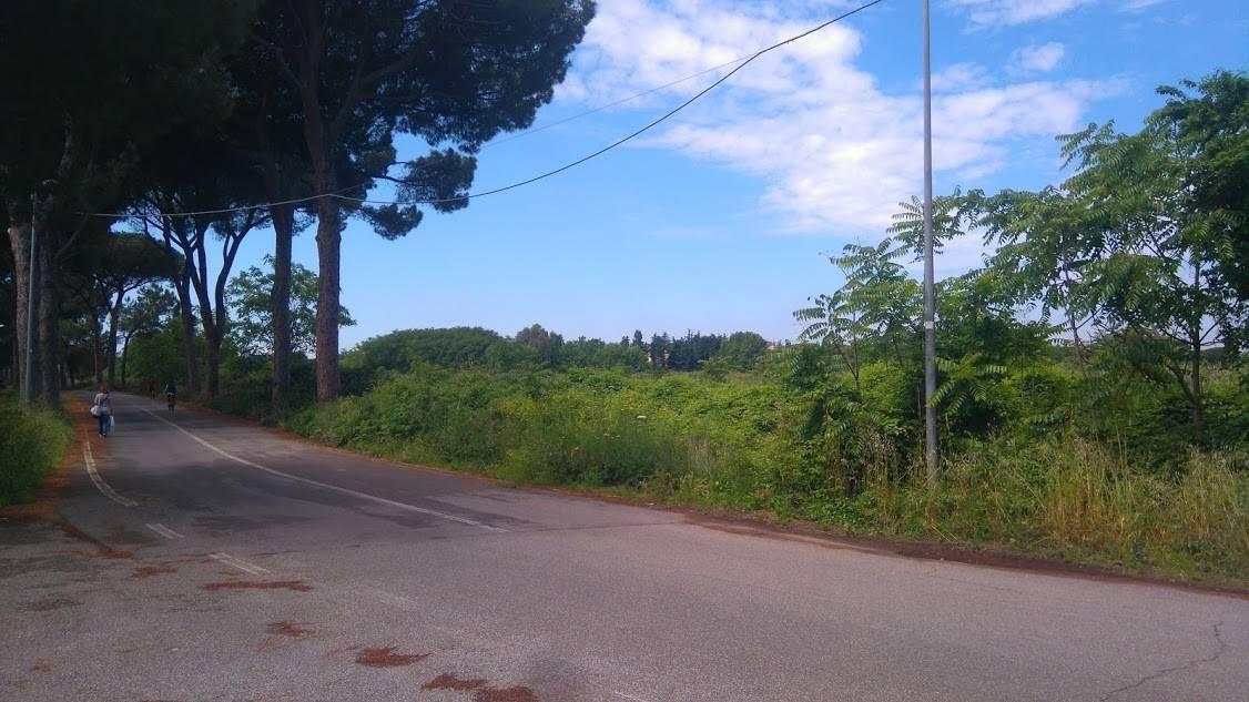 immagine annuncio 2 di 7