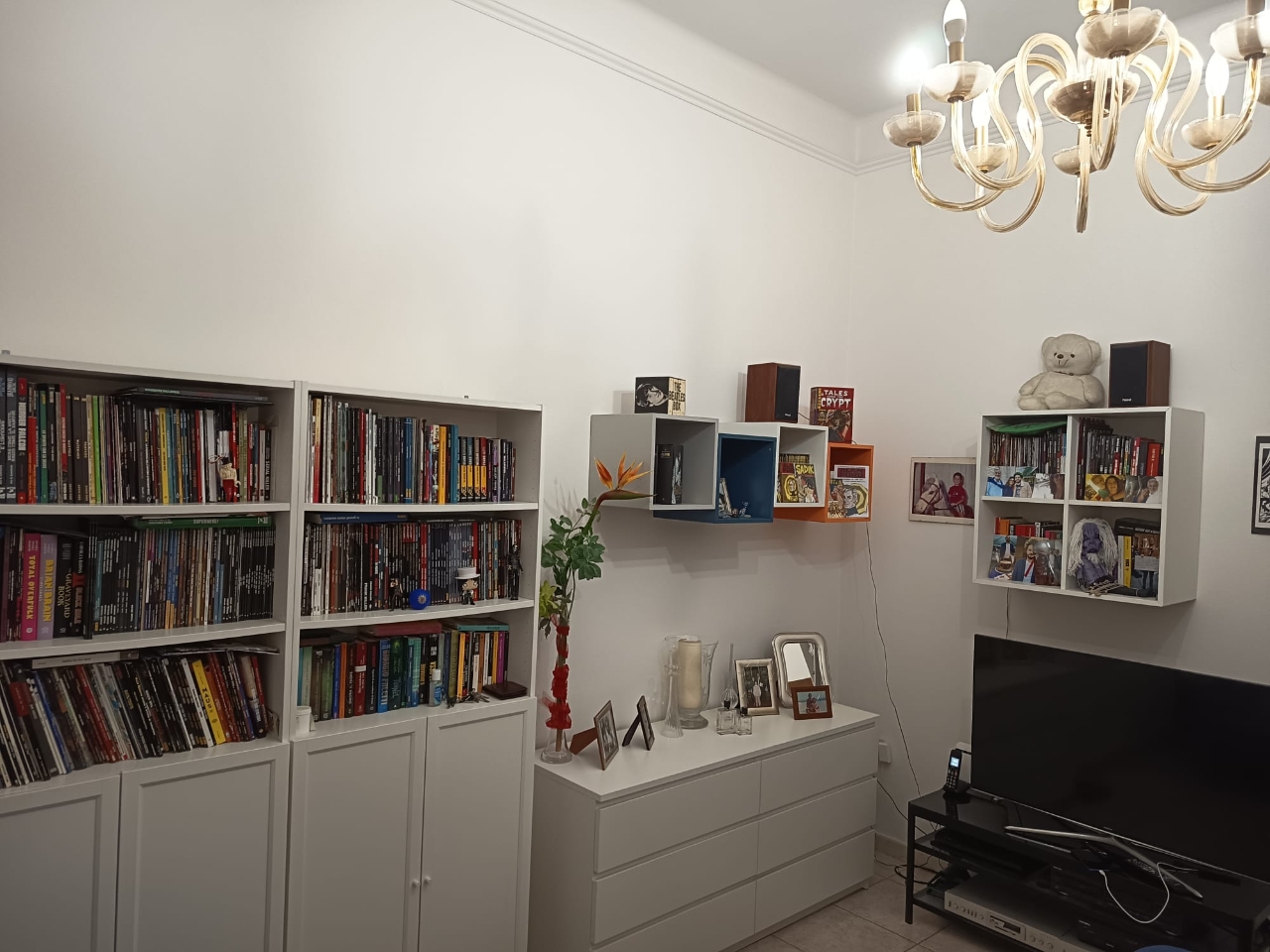 immagine annuncio 4 di 13