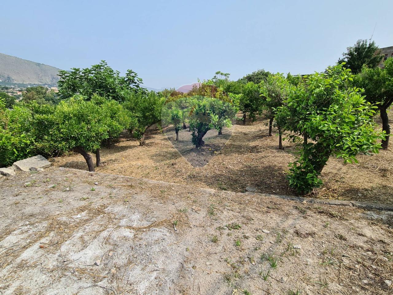 Terreno agricolo in vendita a Palermo