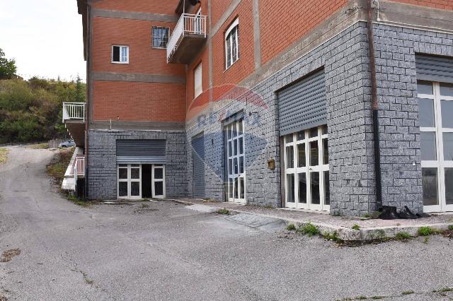 insertion image