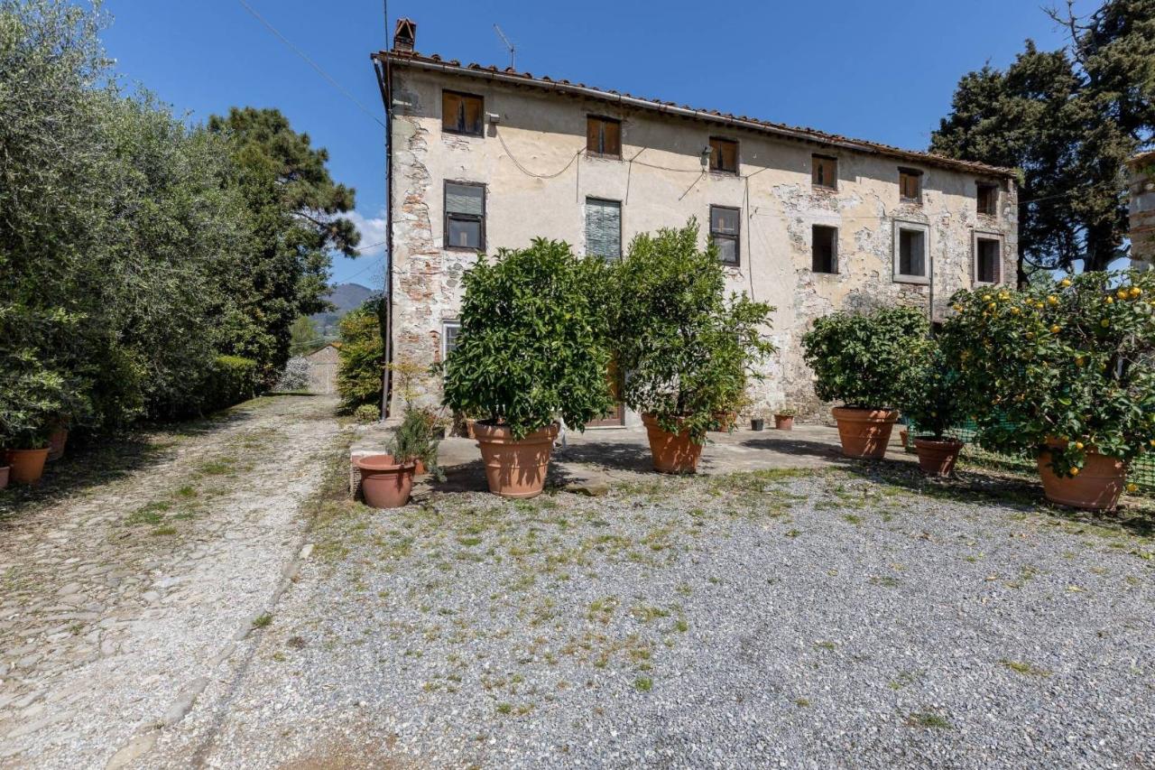 immagine annuncio 8 di 14