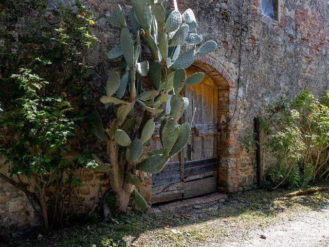 Landhaus in Via di Tofori 18, Capannori - Foto 1