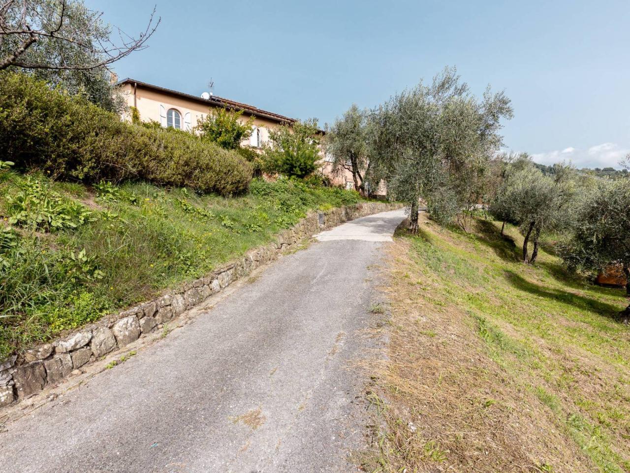 immagine annuncio 5 di 12