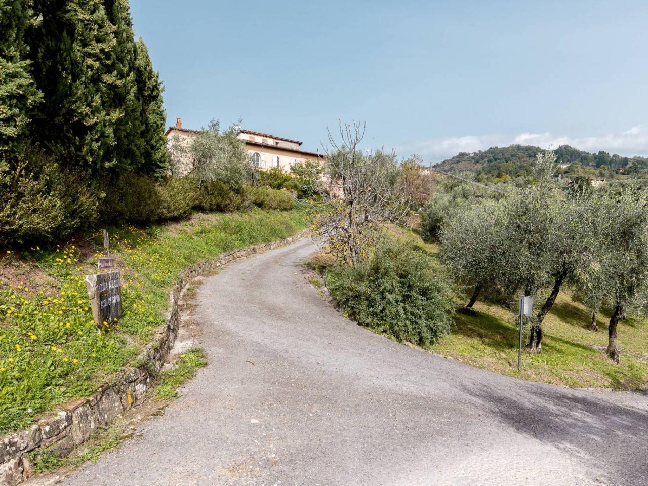 immagine annuncio 9 di 12