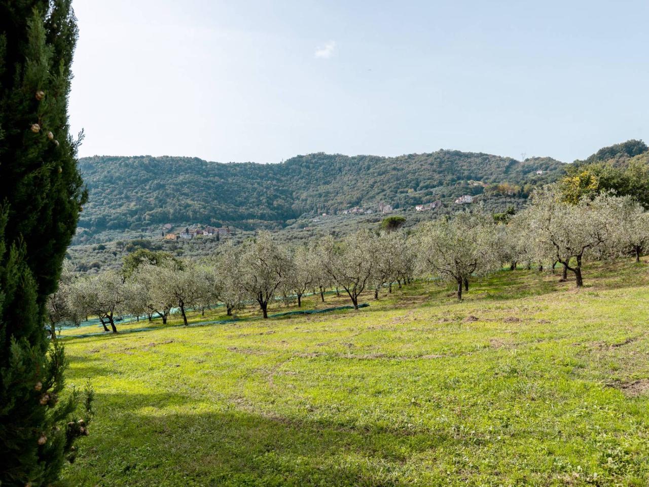 immagine annuncio 8 di 12