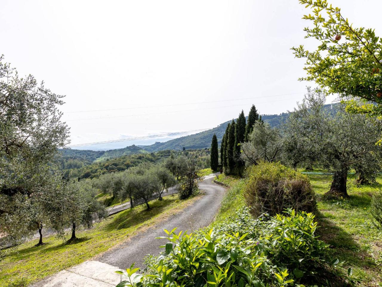 immagine annuncio 10 di 12