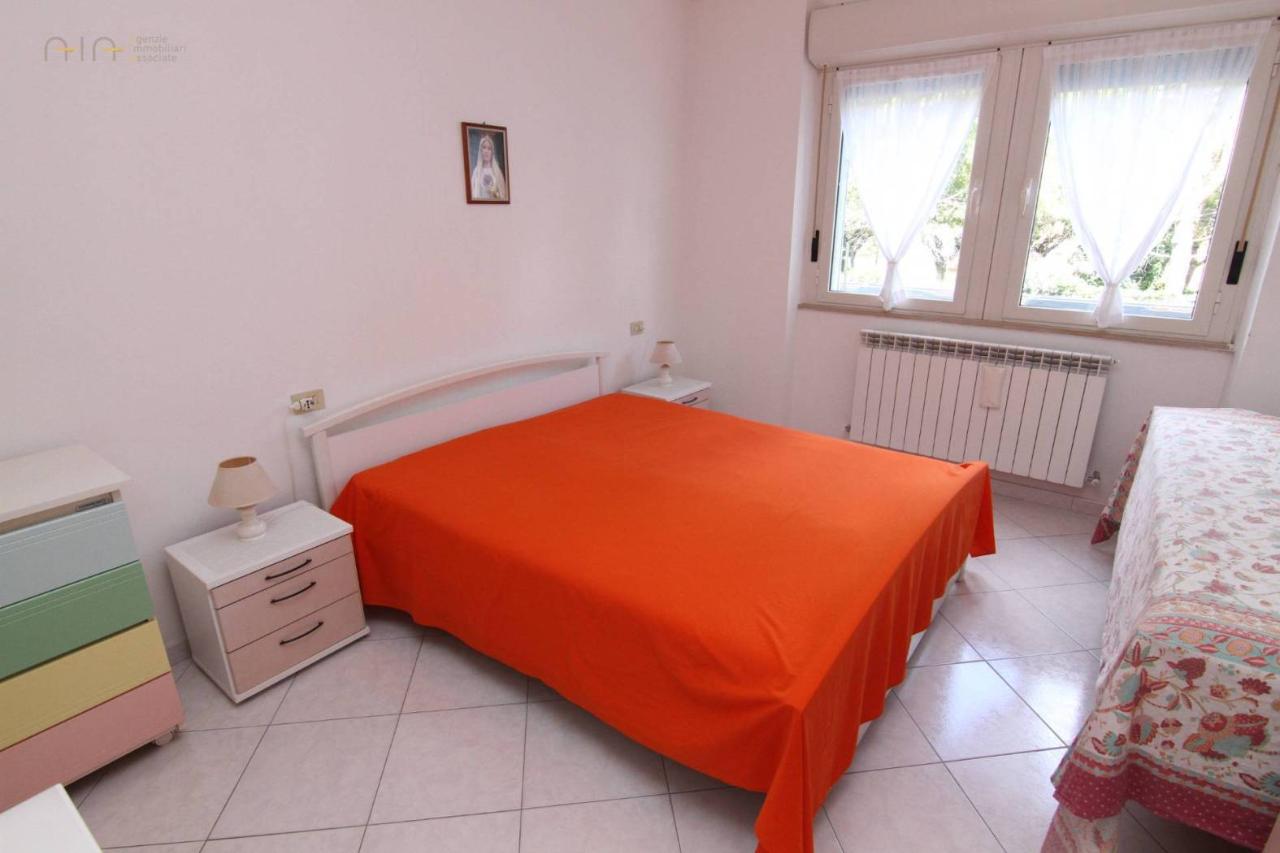 immagine annuncio 6 di 14