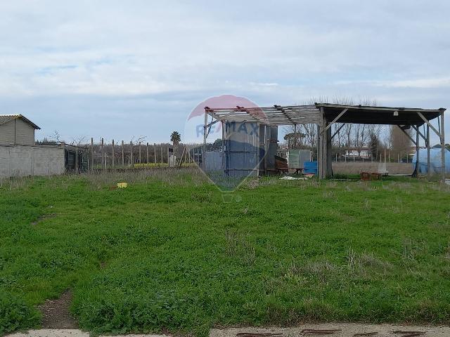 Agricultural land in Via Acciarella 133, Nettuno - Photo 1