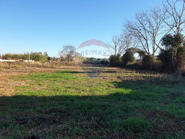 Terreno agricolo in Via delle  Gru 18, Ardea - Foto 1