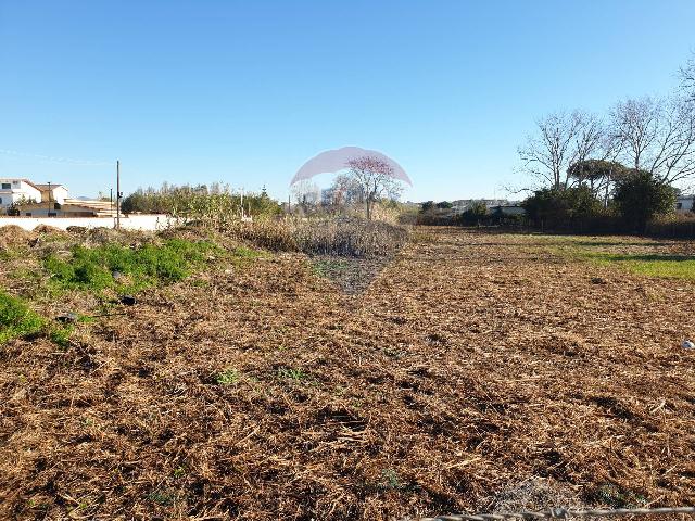 Agricultural land, Ardea - Photo 1