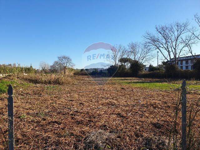 Agricultural land in Via delle Gru 18, Ardea - Photo 1