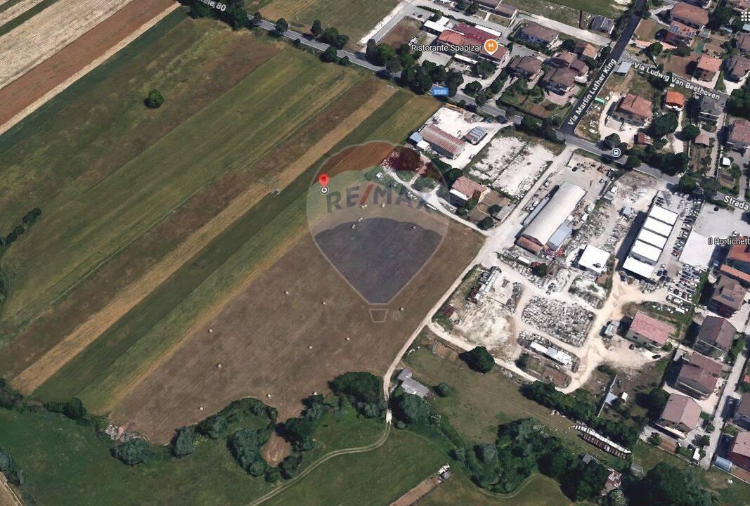 immagine annuncio 3 di 6