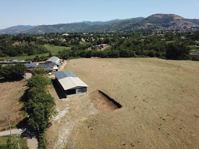 Warehouse in Via Prenestina Nuova 86, Palestrina - Photo 1