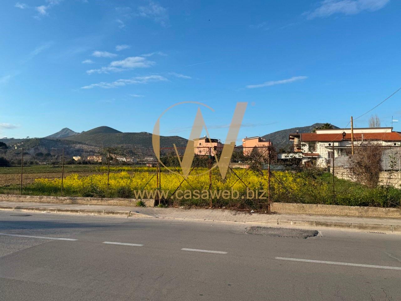 immagine annuncio 4 di 14