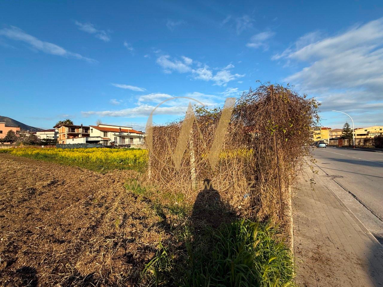 immagine annuncio 8 di 14