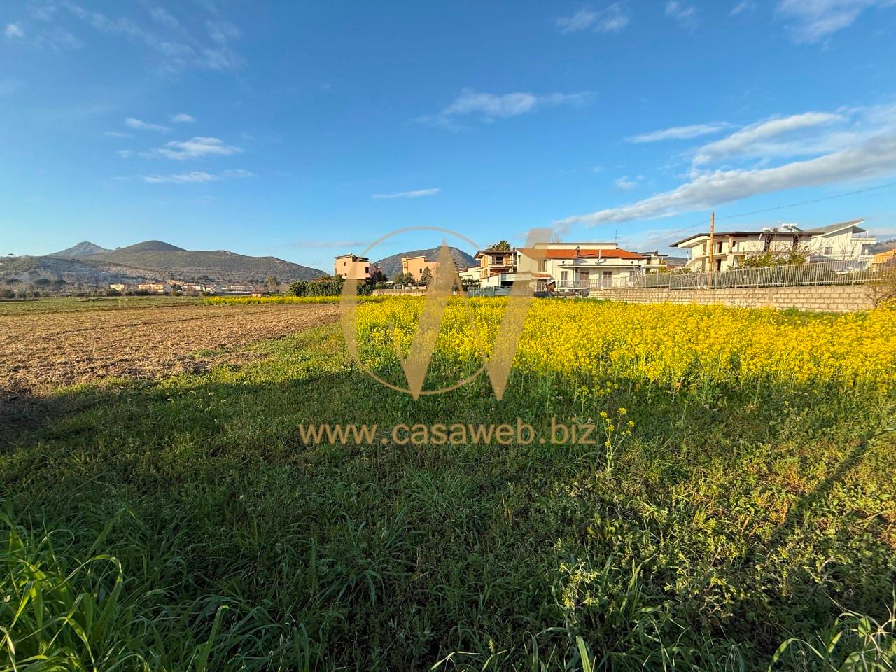 immagine annuncio 9 di 14