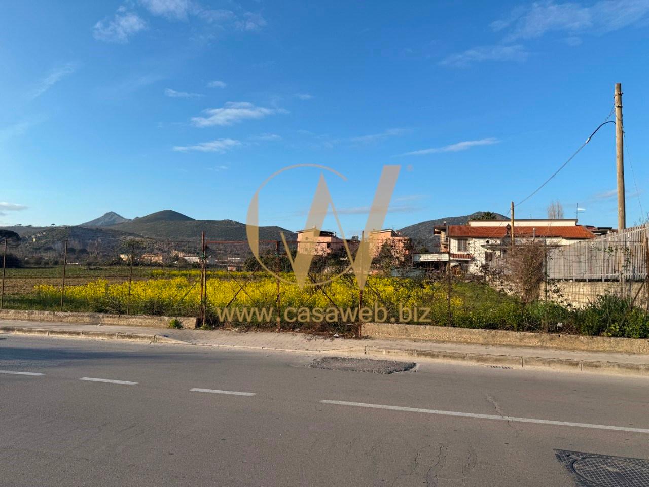 immagine annuncio 12 di 14