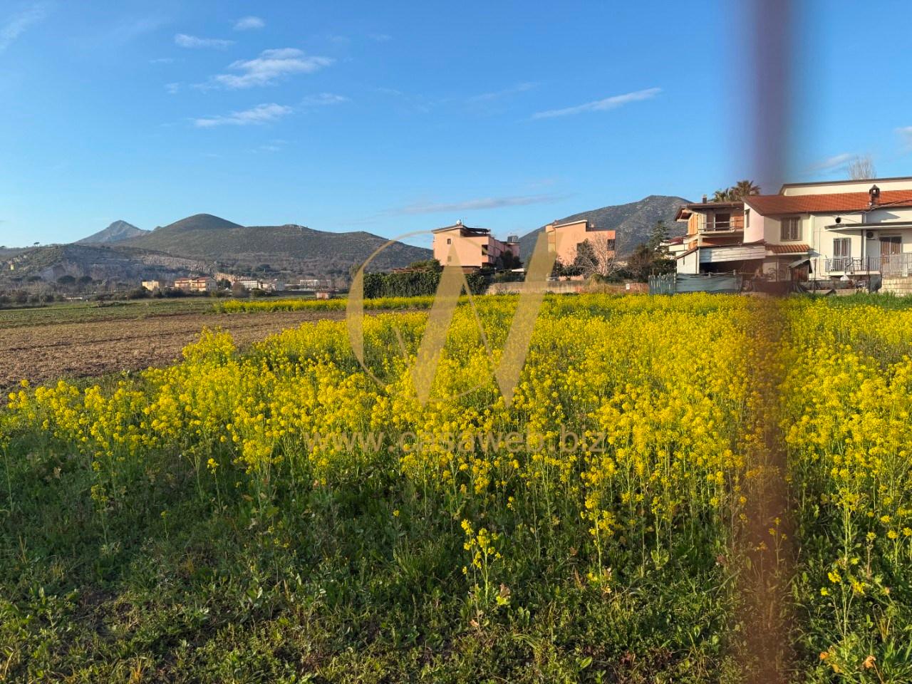 immagine annuncio 11 di 14