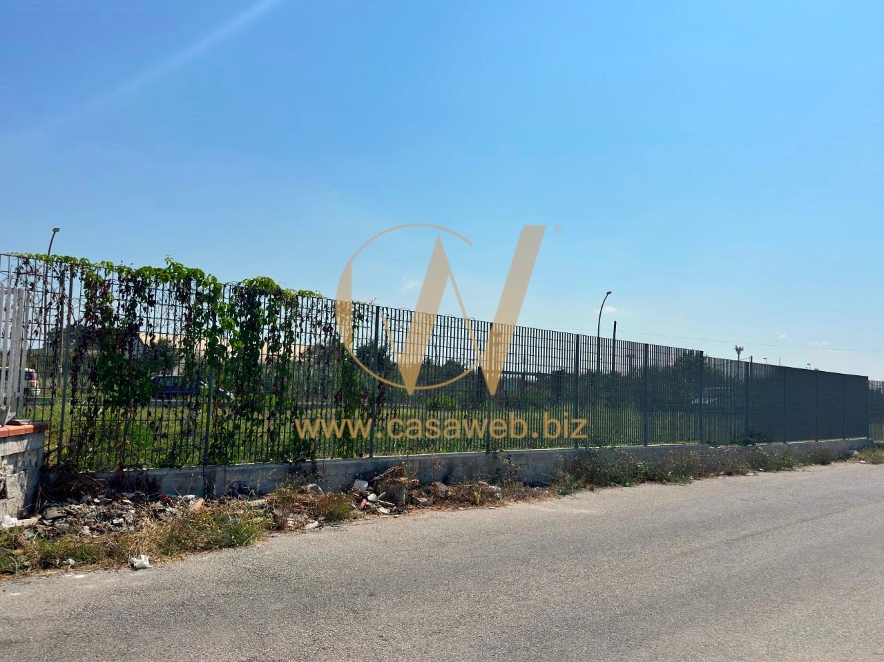 immagine annuncio 12 di 14