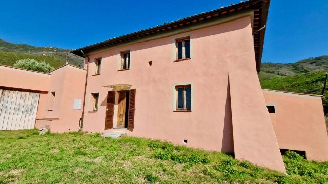 Country house or cottage, Calci - Photo 1