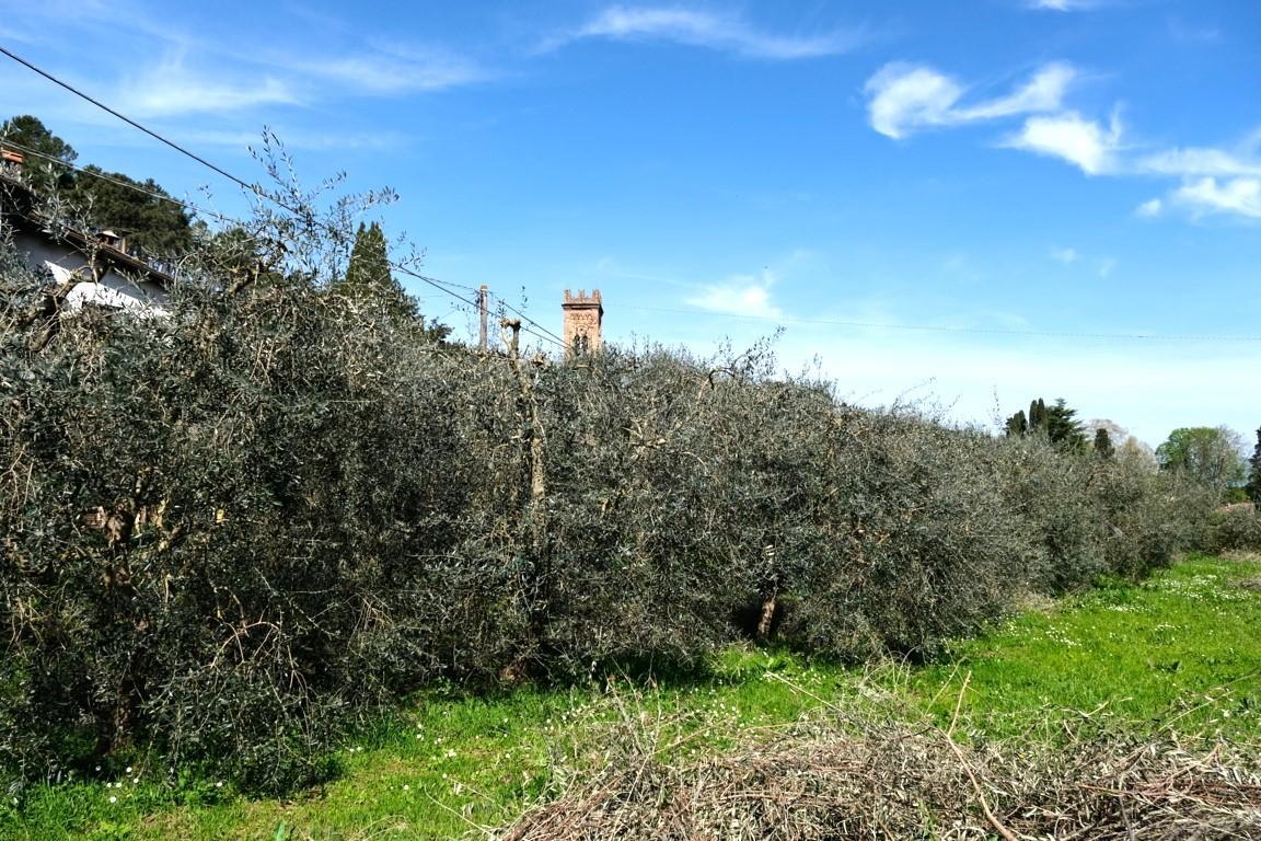 immagine annuncio 11 di 15