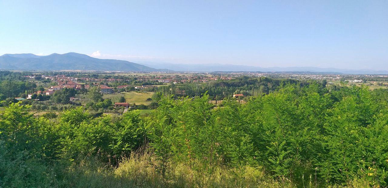 immagine annuncio 5 di 11
