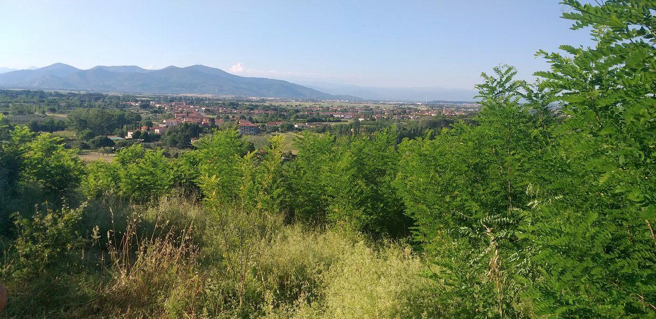 immagine annuncio 3 di 11