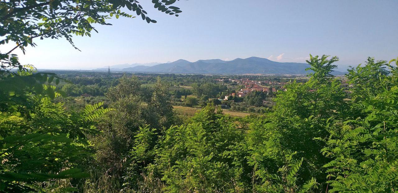immagine annuncio 7 di 11