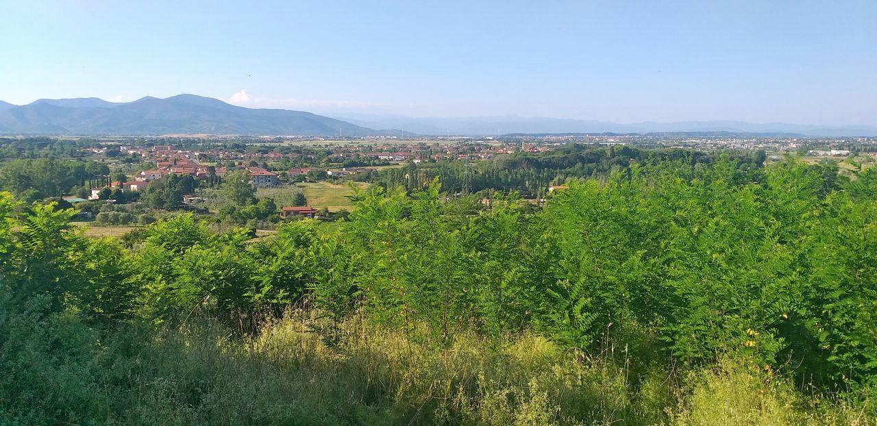 immagine annuncio 4 di 11